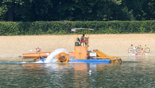 Трава у Савском језеру смета купачима